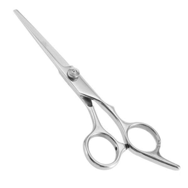 Ciseaux De Coiffure Professionnels En Acier Inoxydable